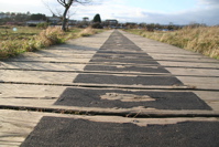 The Path - by Benjamin Ellis